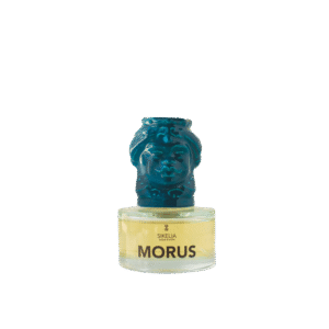 Morus