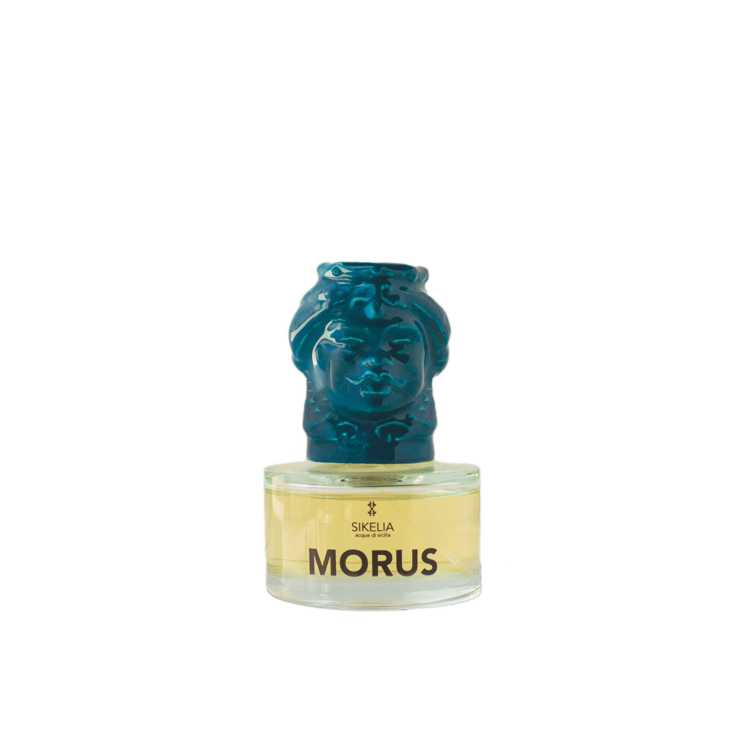 morus Morus